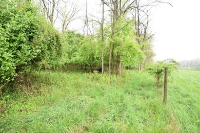 Tract 3 at Dean Rd, Harrodsburg, KY 40330 - photo 3