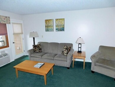 164 Deer Park Dr unit 167 A, Woodstock, NH 03262 - photo 4