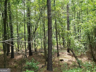 0 Goolsby Rd unit 10614178, Monticello, GA 31064 - photo 4