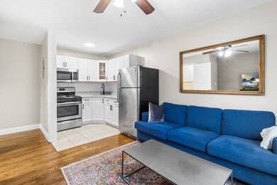 unlisted-address, Brooklyn, NY 11207 - photo 7