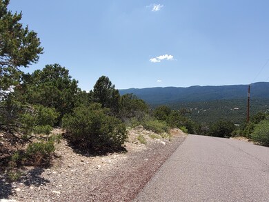 24 Mulberry Loop, Cedar Crest, NM 87008 - photo 3
