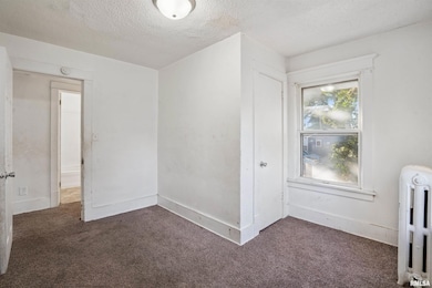 209 E 13th St, Davenport, IA 52803 - photo 7