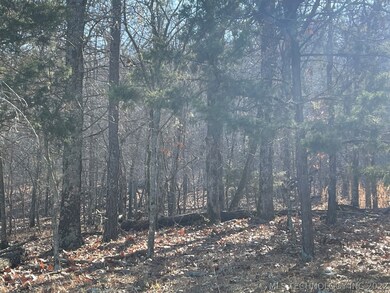 327 Bailey Blvd, Tahlequah, OK 74464 - photo 6