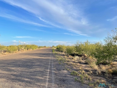 0 Yucca Land Estates unit 20253822, Deming, NM 88030 - photo 3