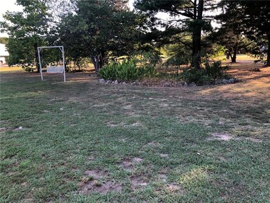 View of Front Yard looking from House towards road