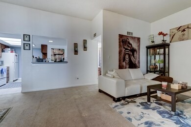 542 S Allred Dr-11