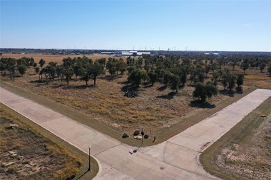 000 Ballpark Way, Jacksboro, TX 76458 - photo 2
