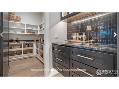 Large pantry w/pull outs and butcher block tops.  Actual photo of previous build by sister company in another state.