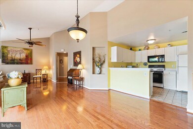 45050 Brae Terrace unit 202, Ashburn, VA 20147 - photo 7