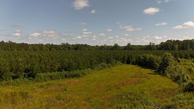 DJI_20250611102604_0051_D