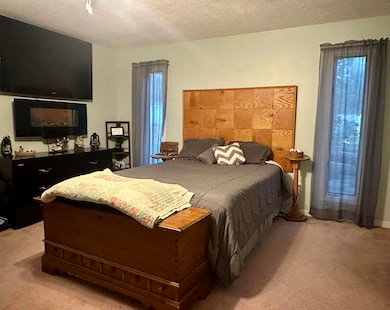 2239 Port Austin Rd, Port Austin, MI 48467 - photo 6