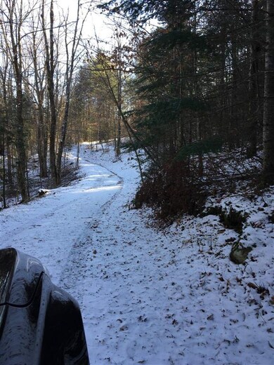 1735 Manns Hill Rd unit 1, Littleton, NH 03561 - photo 4