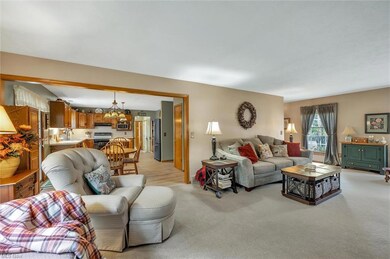 209 Greenview Dr, Aurora, OH 44202 - photo 6