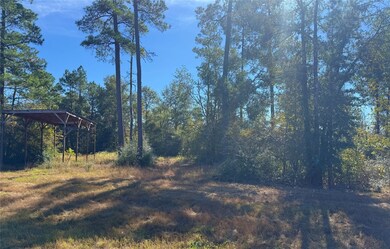 312 Iron Horse Rd, Willis, TX 77358 - photo 7