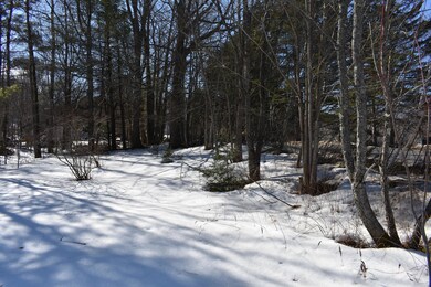 Tree Line Stonewalls