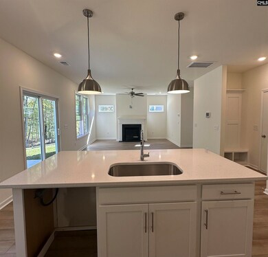 530 Griffon Dr, Chapin, SC 29036 - photo 7