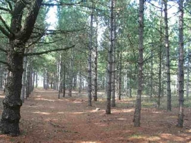 W4054 29th St, Necedah, WI 54646 - photo 3