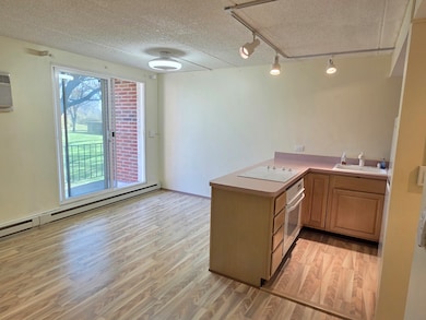 255 S West Ave unit 214, Elmhurst, IL 60126 - photo 3