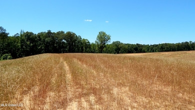 206 Hugh White State Park Rd, Grenada, MS 38901 - photo 2