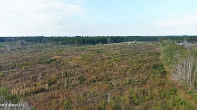 0 Grandview Ln SE, Bogue Chitto, MS 39629 - photo 3