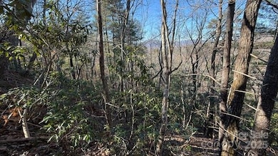 0 Bird Dog Blvd unit CAR4211590, Lake Lure, NC 28746 - photo 4