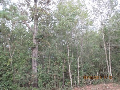 999 Par Road 216, Angie, LA 70426 - photo 2