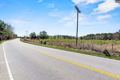 0 Amicks Ferry Rd, Chapin, SC 29036 - photo 3