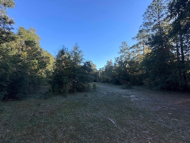 153 Davidson St, Quincy, FL 32351 - photo 7