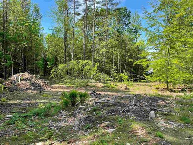 130 Granite Rd, Ossipee, NH 03864 - photo 3