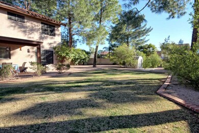 Backyard1