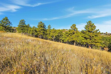 Lot17C W Minnesota St, Rapid City, SD 57701 - photo 5