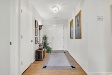 Doorway to outside featuring light wood-type floor