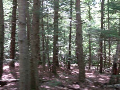 L06 County Rd, Dunbarton, NH 03046 - photo 2