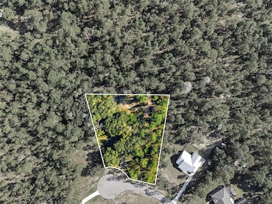 1811 County Road 243d, Wildwood, FL 34785 - photo 3