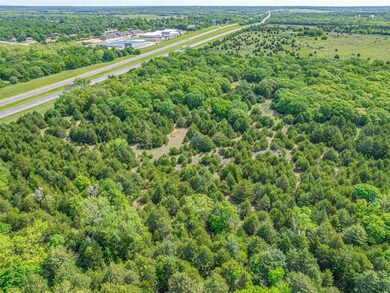Aerial view of a forest