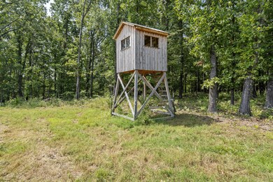50-web-or-mls-DSC03372