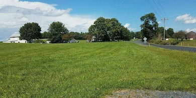 TBD Lea Port Rd, Mount Sidney, VA 24467 - photo 2