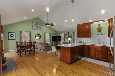 2 Day Springs Ln, Litchfield, IL 62056 - photo 5