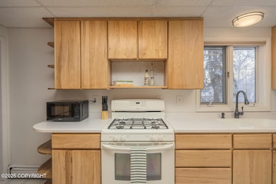 2727 Riverview Dr, Fairbanks, AK 99709 - photo 5