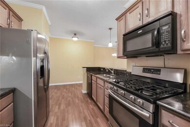 1006 Aqua Marine Blvd unit 44, Avon Lake, OH 44012 - photo 3