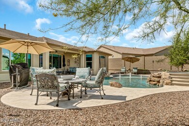 Backyard Oasis