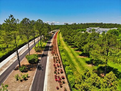 The road to the Signature Subdivision