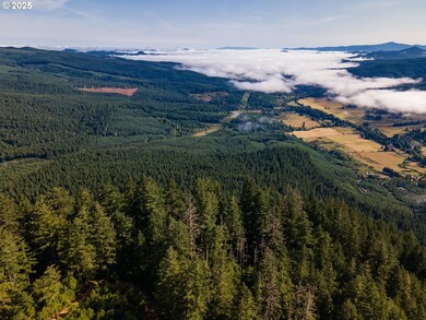 0 Fireclay Rd unit 688114409, Cottage Grove, OR 97424 - photo 4