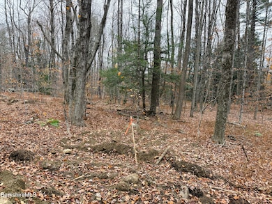 LOT10 Benton Hill Rd, Becket, MA 01223 - photo 7