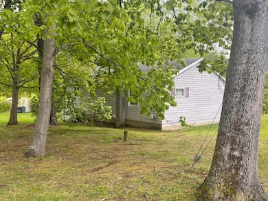 Some Shade Trees