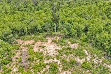 07-DJI_20250602133724_0052