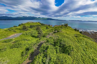 0 the Point 5a Cliff Point Rd unit Lot 11175676, Kodiak, AK 99615 - photo 5