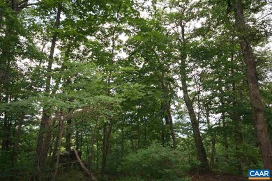 256 Pedlars Edge Dr unit 17, Rockfish, VA 22967 - photo 2