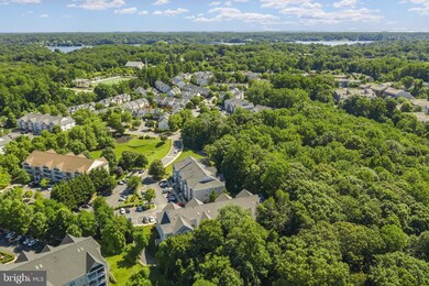 657 Burtons Cove Way unit 2, Annapolis, MD 21401 - photo 6
