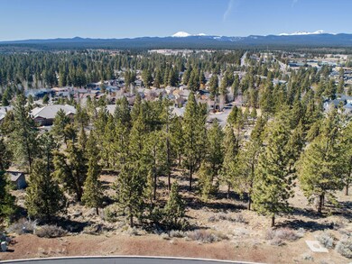 DJI_0005